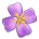 ͼƬ